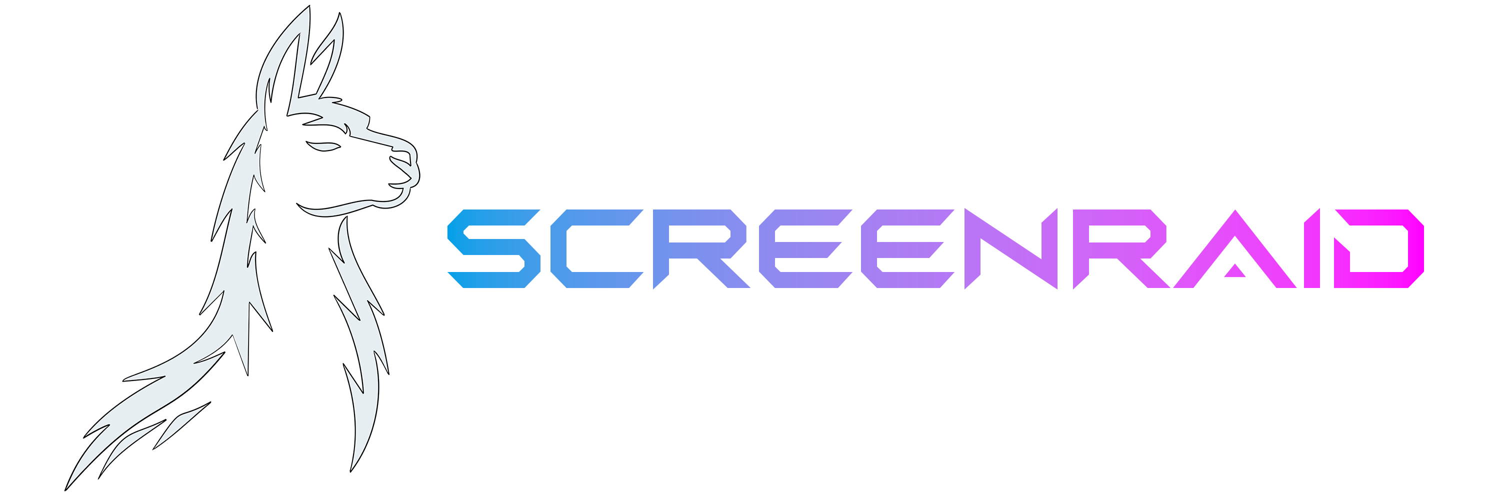ScreenRaid